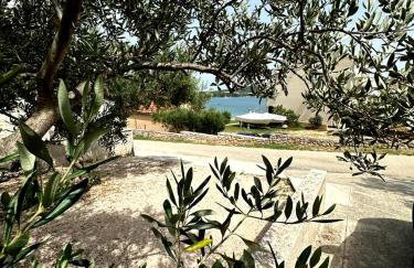 Apartmani Sladić - Photo 77