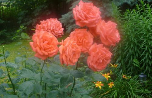 Ferienwohnung Kluge - Foto 25