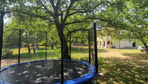 Apartman Jala - Foto 5, Garden