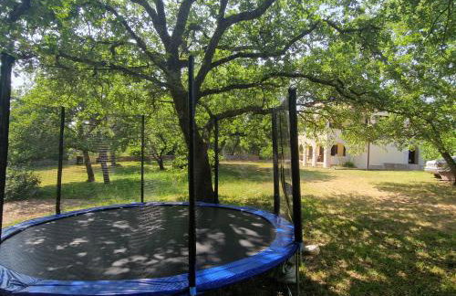 Apartman Jala - Foto 5