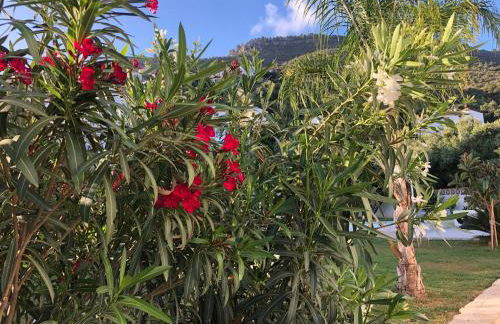 Casita Montoya - Photo 15