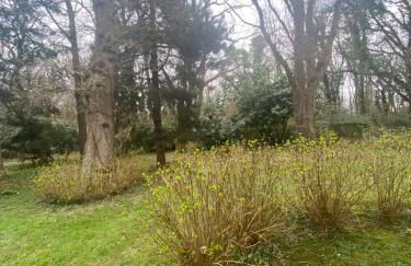 Mer & Bois de Cise Maison individuelle avec grand jardin - Foto 34