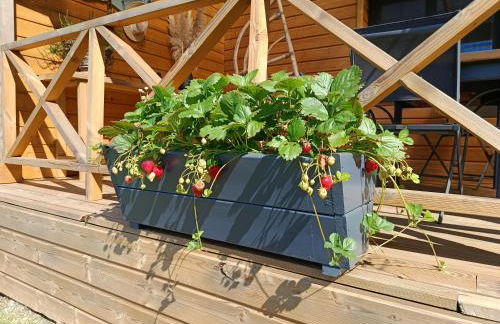 Gîte Ar Friz Vihan - Photo 7