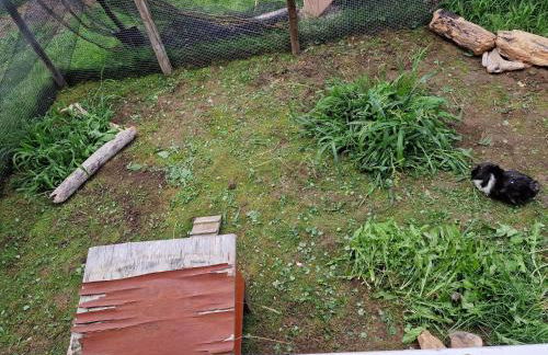 Ferienwohnung Ingrid - Foto 32