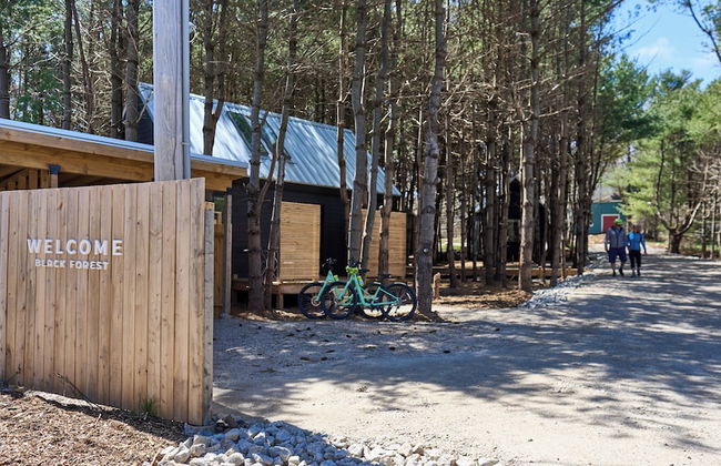 Black Forest Cabins - Photo 23