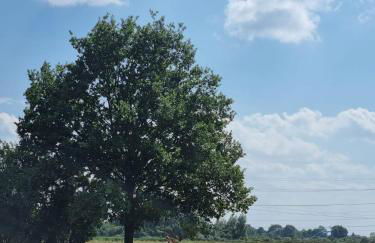 Ferienhaus Am Fehntjer Tief - Foto 28