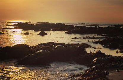 Aguda Beach Porto, Slow Travel Houses - Foto 50