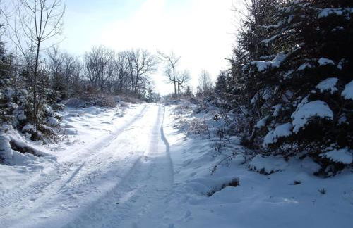 Family Sesterheim Comfortable holiday residence - Foto 17