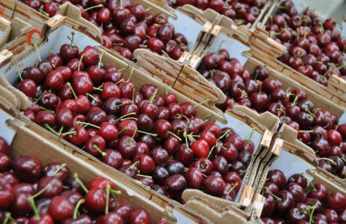 Monte das Cerejas - Foto 57