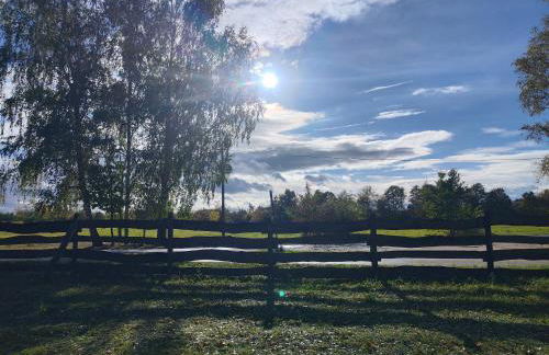 Kleine Freiheit Nummer 3 - Foto 13