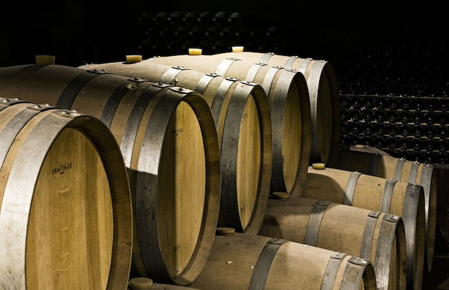 Quinta de S. Bernardo Winery & Farmhouse - Foto 26