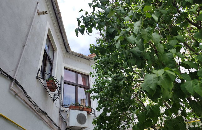 Apartament Buon Gusto Sibiu-near Small Square Old Town - Foto 17