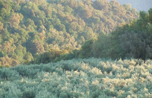 Agriturismo Le Carolee - Foto 65