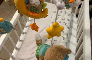 Ferienhaus Albmatte-Sauna im Haus-gemütliche Apartments - Foto 20