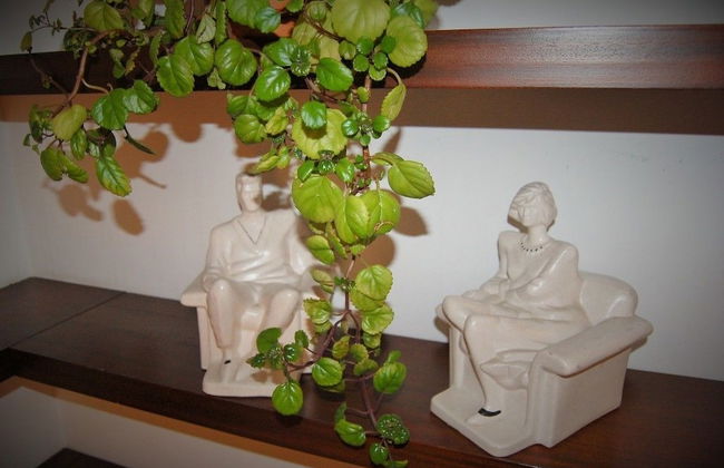 Casa a 15 minutos de la playa, con jardin privado y piscina - Photo 57