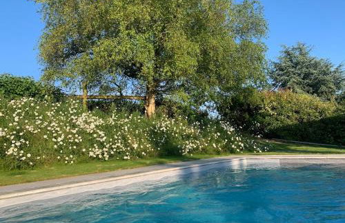 Cute cob cottage - Photo 24