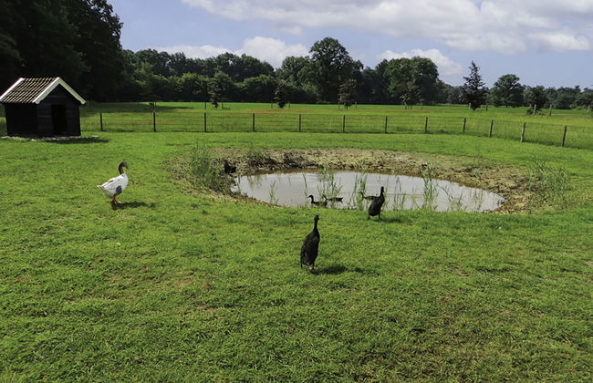 Familieboerderij - Foto 19