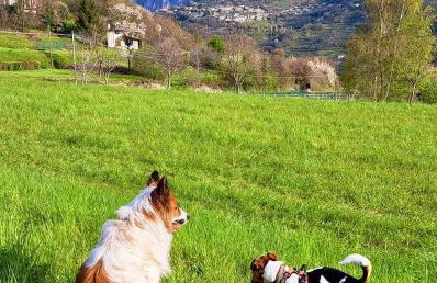 Prabione Antico Borgo Prabiu Appartement Leccino - Foto 22