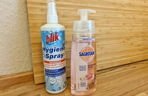 Stylisches Villa-Apartment in Schlossgartennähe - Foto 30