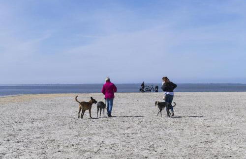 Pfötchenparadies II - Foto 18