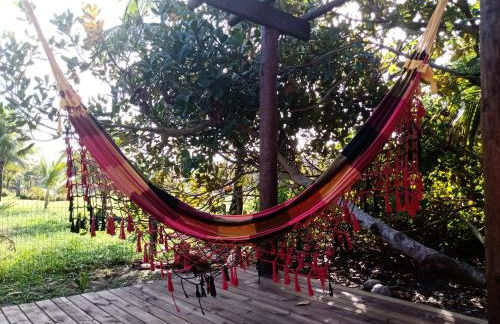 Chale da Lu - Photo 15