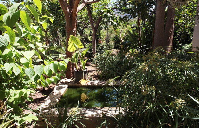 I tre Golfi Itaca - Foto 36