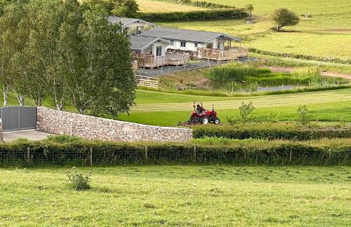 Pine Lodge - Uk30007 - Foto 32