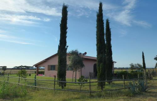 Bio Agriturismo Le Giunchiglie - Foto 15