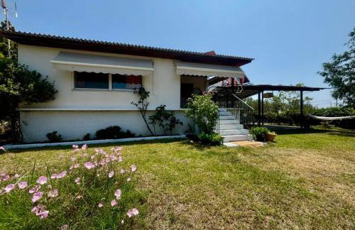 Maestro παραλία Καριανής - Foto 5