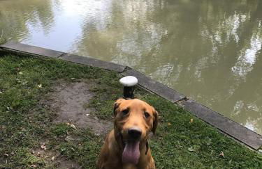 Rew Farm Country and Equestrian Accommodation - Sunset Lodge - Photo 38