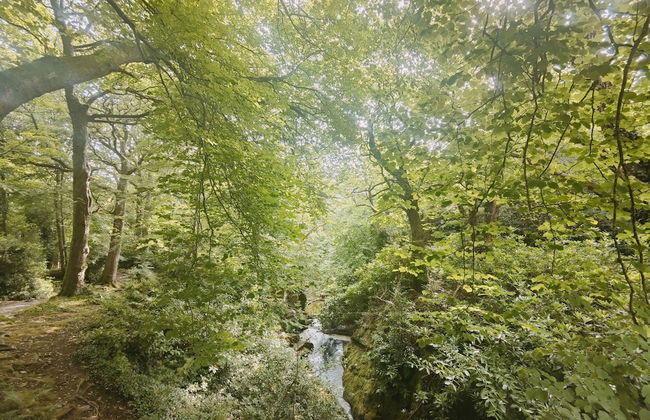 Mourne Mountain Art Apartments - Foto 36