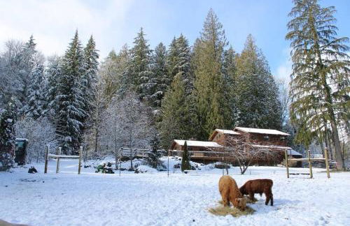 The Cottage at Highland Farms - Foto 28