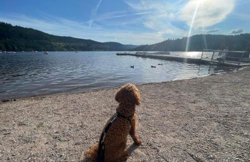 Ferienhaus Rose mit Sauna und HS-Card - Greschuk Apartments - Photo 20