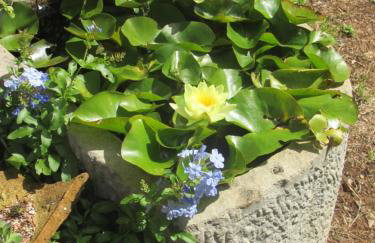 Holiday Home Botanica - Foto 44