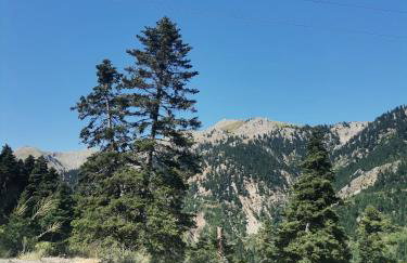 Ορεινή φιλόξενη κατοικια - Foto 6