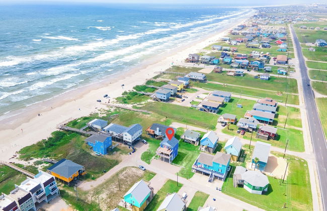 Birds of Paradise - Foto 21