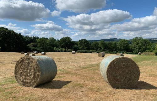 The Old Stables - Photo 53