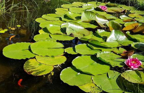 Holiday home with 3 bedrooms - Photo 10