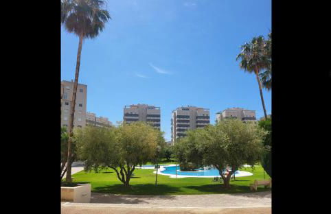 Jardin del Mar Playa Muchavista - El Campello - Alicante - Photo 23