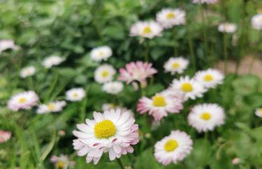 PUSZCZYKOWO siedlisko&spa - Foto 75