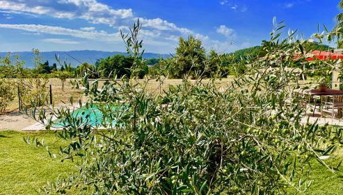 La Belle Lumière - Photo 5, Garden