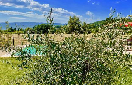 La Belle Lumière - Foto 5