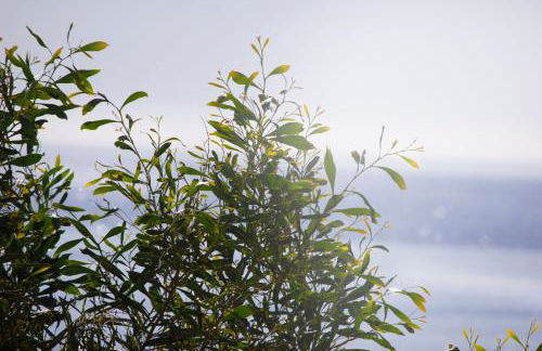 Due Mari Residence - Foto 17