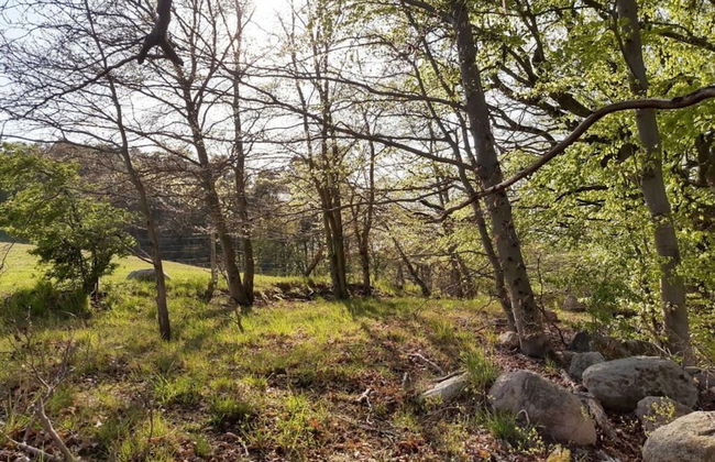 Time out Modern Retreat - Photo 25