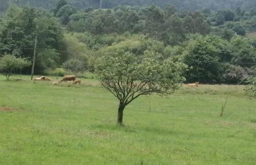 Apartamento en casa rural con amplio jardín a 5 min de la playa Situación inmejorable - Foto 2