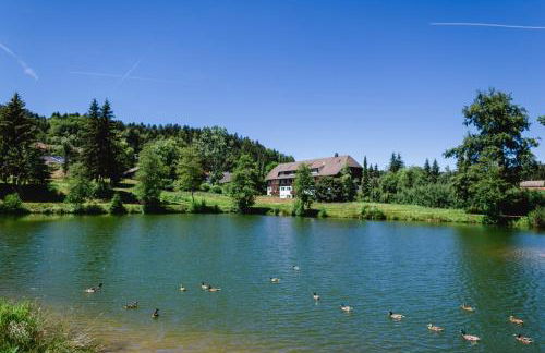 Ferienwohnungen Am Skilift - Foto 57