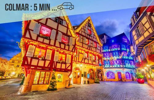 Le jardin secret - Colmar - WIFI - Foto 23