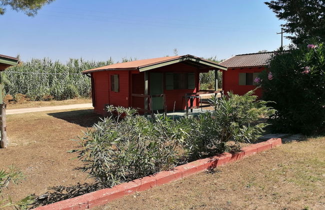 Camping Green Village Pin Tourist - Foto 2