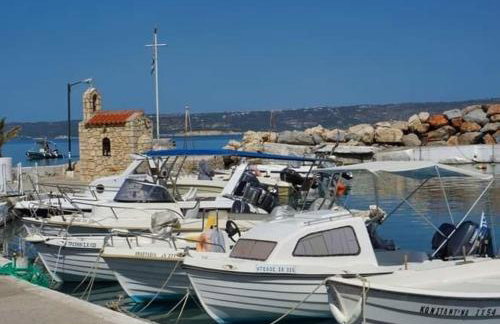 Lemon Tree House - Photo 39