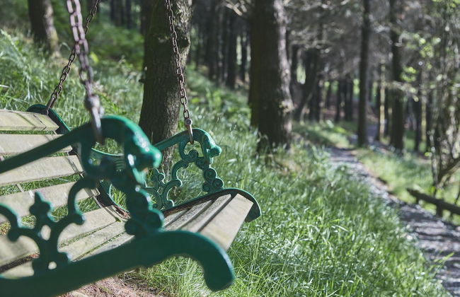 Mushroom Yurt set in 4 Acres of Woodland and Lakes - Foto 27